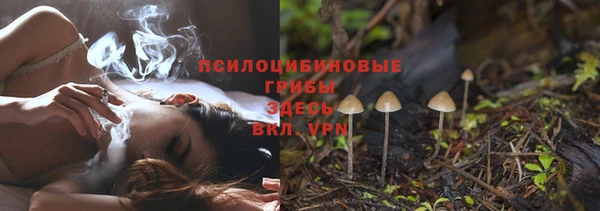 первитин Белокуриха