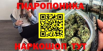 ПСИЛОЦИБИНОВЫЕ ГРИБЫ Ирбит