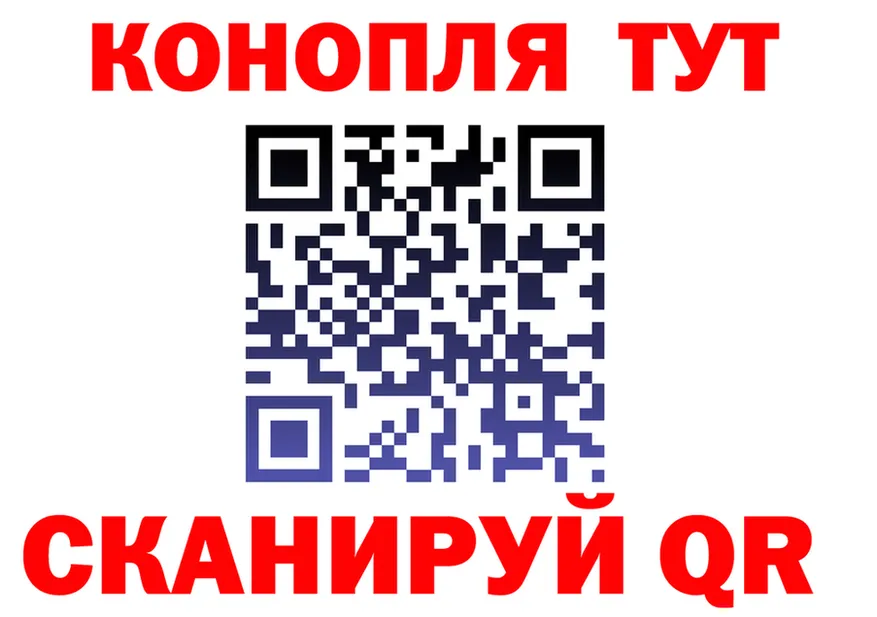 A PVP СК сайт площадка OMG Луховицы