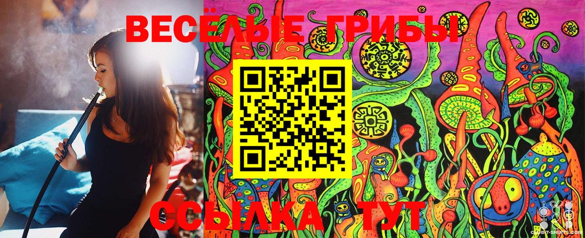 Псилоцибиновые грибы Psilocybe  где купить наркотик  Луховицы  Вход с VPN 